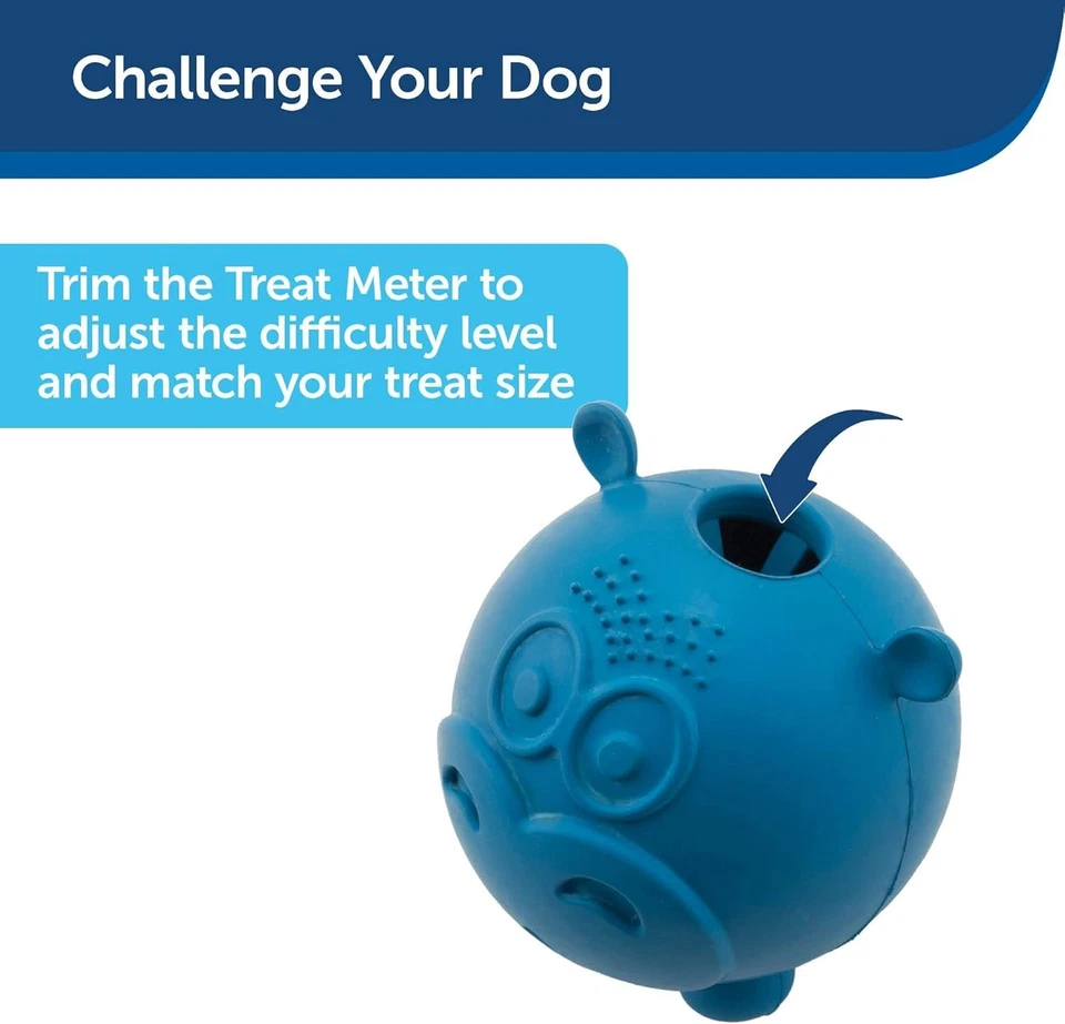 Busy Buddy Hippster Treat Dispensing 狗玩具-重型咀嚼者的益智玩具 — 第 4/4 张图片