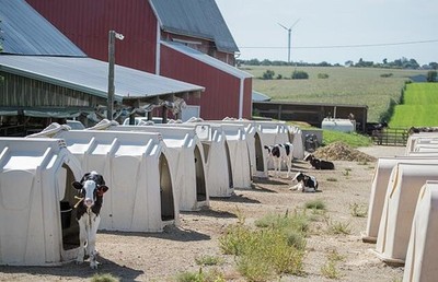 Photo:Cashton Wisconsin Balsdon Dairy Farm 2016 Calf Hutches Young Calves
