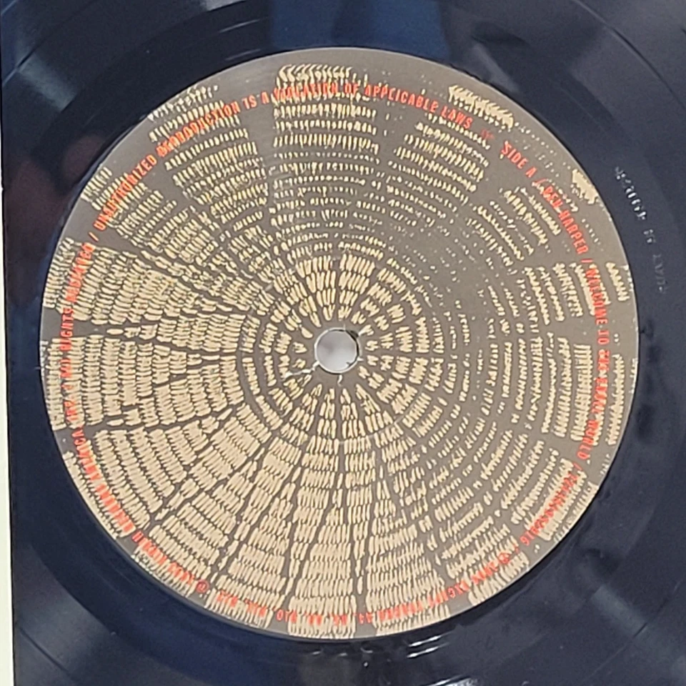 BEN HARPER Welcome To The Cruel World LTD 180g VINYL + White 7" OOP! NM/NM - Image 3 of 4