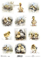 Chick Minis | A4 Rice Paper | Paper for Decoupage | ITD Collection