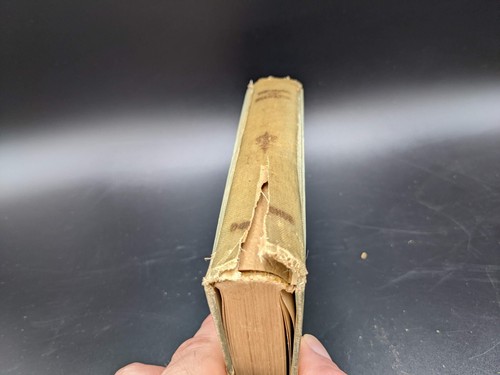Antique (Song Of) Hiawatha, H.W. Longfellow, Illustrated, 1908 Hardcover - Imagen 10 de 12