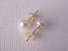 Wholesale AAA Akoya 6-7mm White Pearl Earrings 14k Gold Limited Time Promotion!