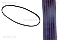 Triscan Keilriemen 8640 110730 FüR Ford Seat VW