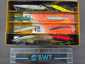 Rebel Floating Trolling Lures: Jawbreaker, Spoonbill Minnow Tackle Box- Lot of 9