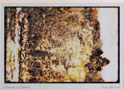 199021 Autumn Foliage Near Rouge River Quebec A4 Aquarelldruck