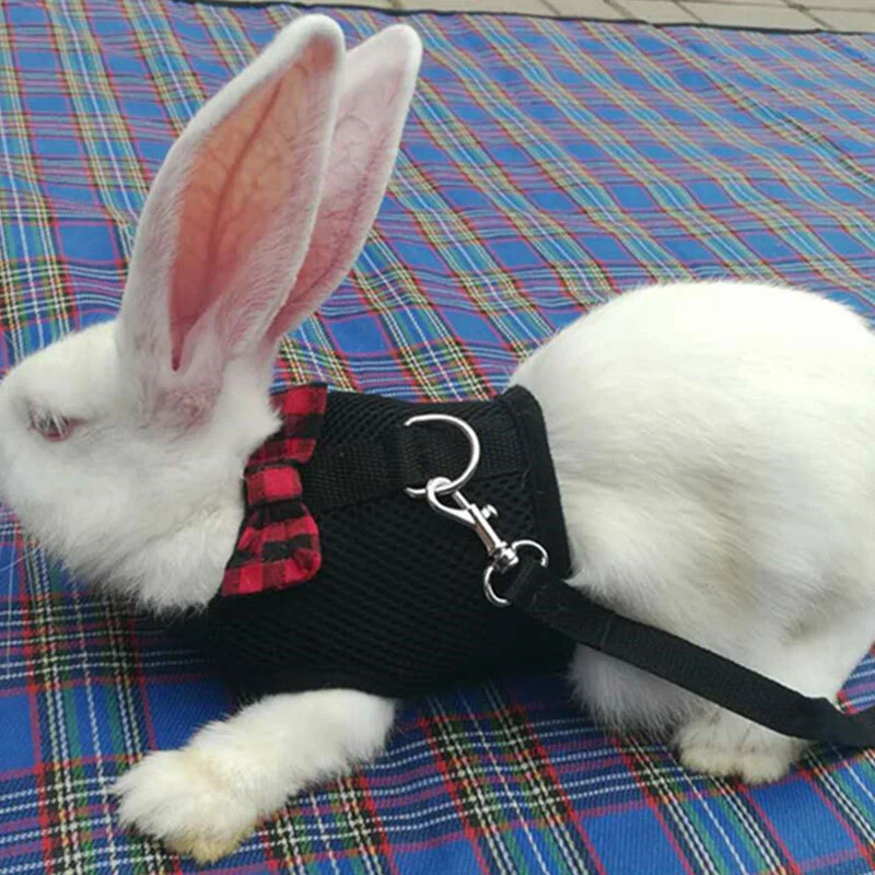 Pet Supplies Rabbit Clothes Back Chest Pet Leash Bow Tie Soft Cute Gh   ↲ - Bild 2 von 4