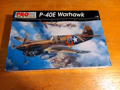 1995 PRO MODELER Model P-40E WARHAWK Kit #5921