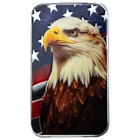 2024 Bald Eagle Scottsdale Mint 1 oz silver Art Bar in capsule