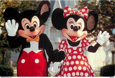 Postcard - Amusement Park - Walt Disney World - Mickey and Minnie Mouse