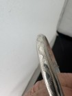 2 Beautiful Classic Design Sterling Silver Etched Floral Hinged Bangle Bracelet — photo 10