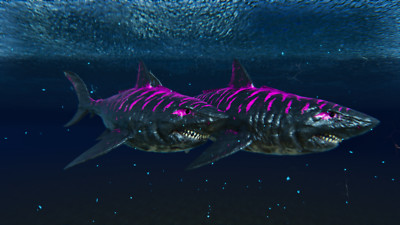 ARK Survival Ascended PvE PC/XBOX/PS5 Top Stats Megalodon Deep Pink 845m (shark)