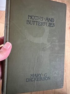 Antique Butterfly Book | eBay