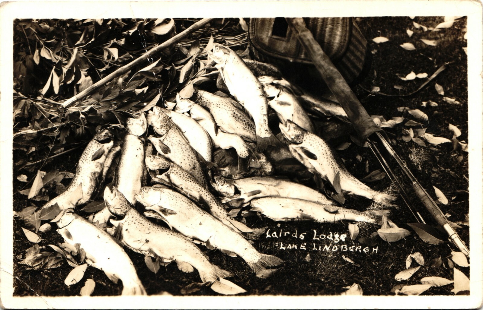 FISH CATCH real photo postcard rppc MONTANA MT, LAIRD'S LODGE AT LAKE
