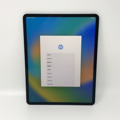 Apple iPad Pro 12.9-inch 6th Gen 1TB Grey Unlocked Excellent