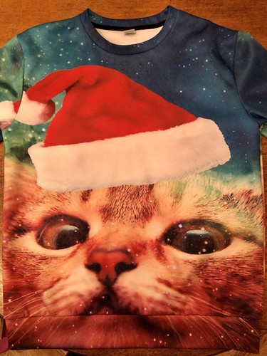 santa cat sweatshirt