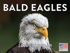 Bald Eagle Calendar 2026 Monthly Wall Calender 12 Month | American Made In The U