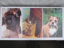 Convoluté 33x Vieux Affiche Argus Animal Animaux Vintage 70er Années