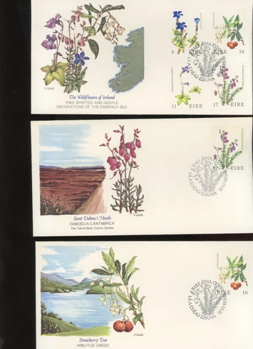 Ireland stamps The Wildflowers of Ireland 5 FDC 1978 Dublin Ireland  (mb34