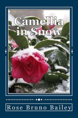 Camellia in Snow by Bailey, Rose Bruno