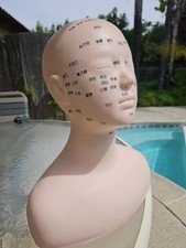 Chinese Head Acupuncture Acupoint Human Acupuncture Point