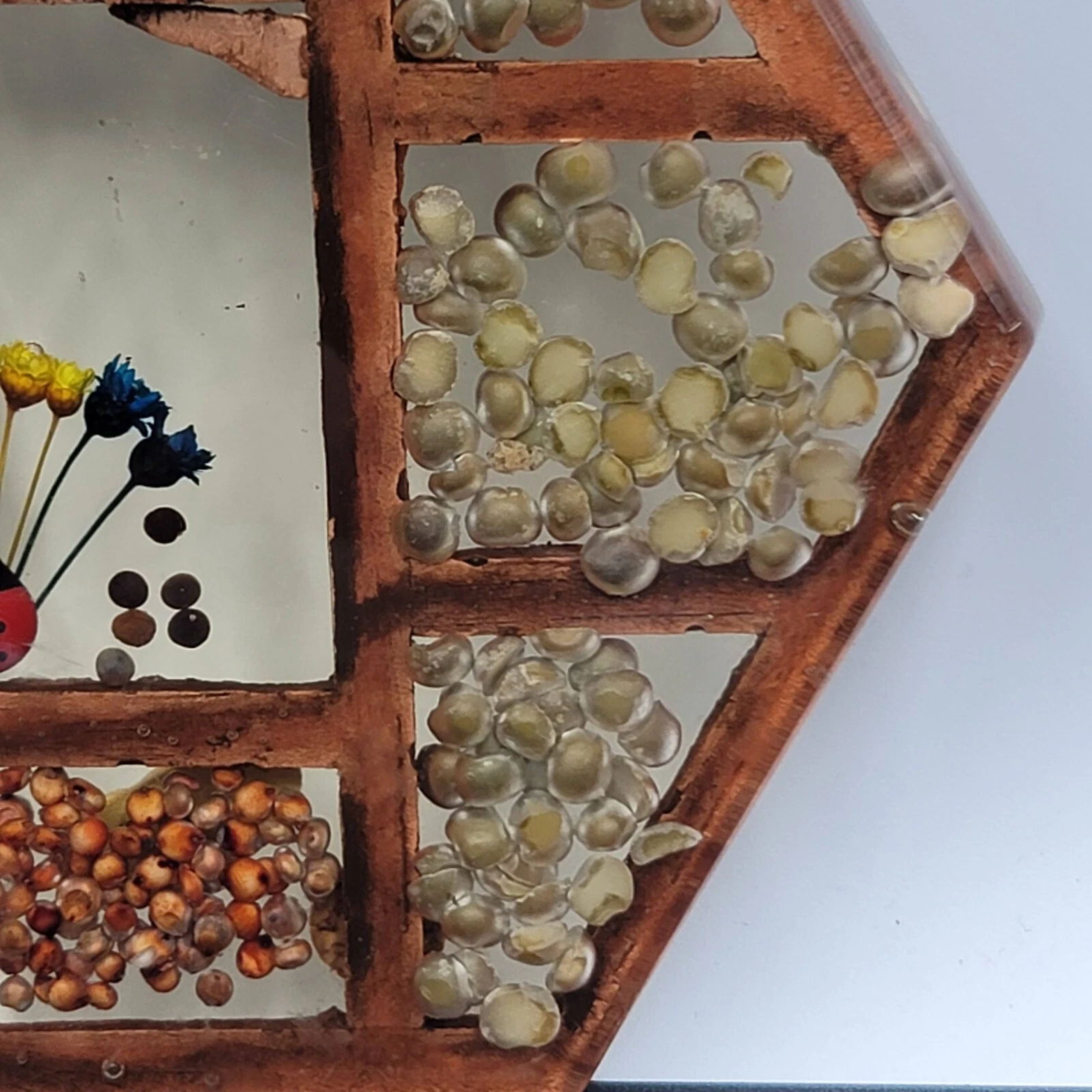 Vintage Gamut Designs Trivet Dried Flowers Seeds Boho Mid Century Hexagon 5.5" image 6