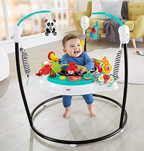 Fisher-Price Baby Bouncer Animal Wonders Jumperoo Activity Center With Music Lig - Picture 1 of 12