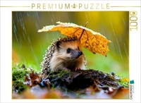 Calvendo Puzzle Hedgehog | 1000 Pieces, Finished Size 25.2 × 18.9 In (64 × 48 Cm