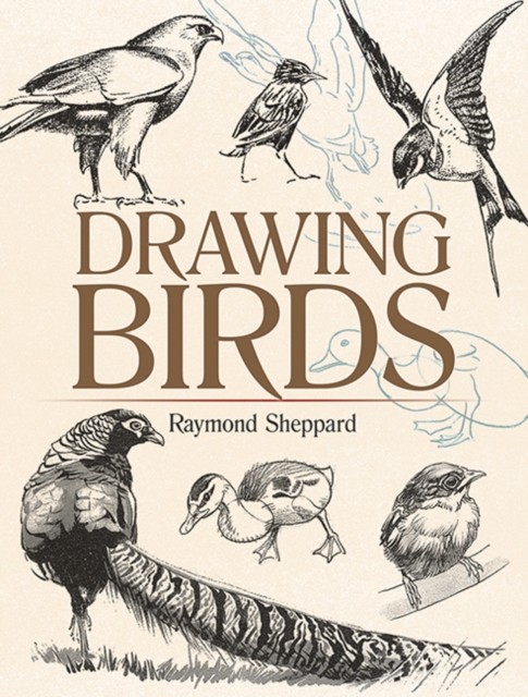 Drawing Birds by Raymond Sheppard (Paperback Book)