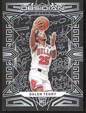 1614F 2022-23 Panini Obsidian #163 Dalen Terry