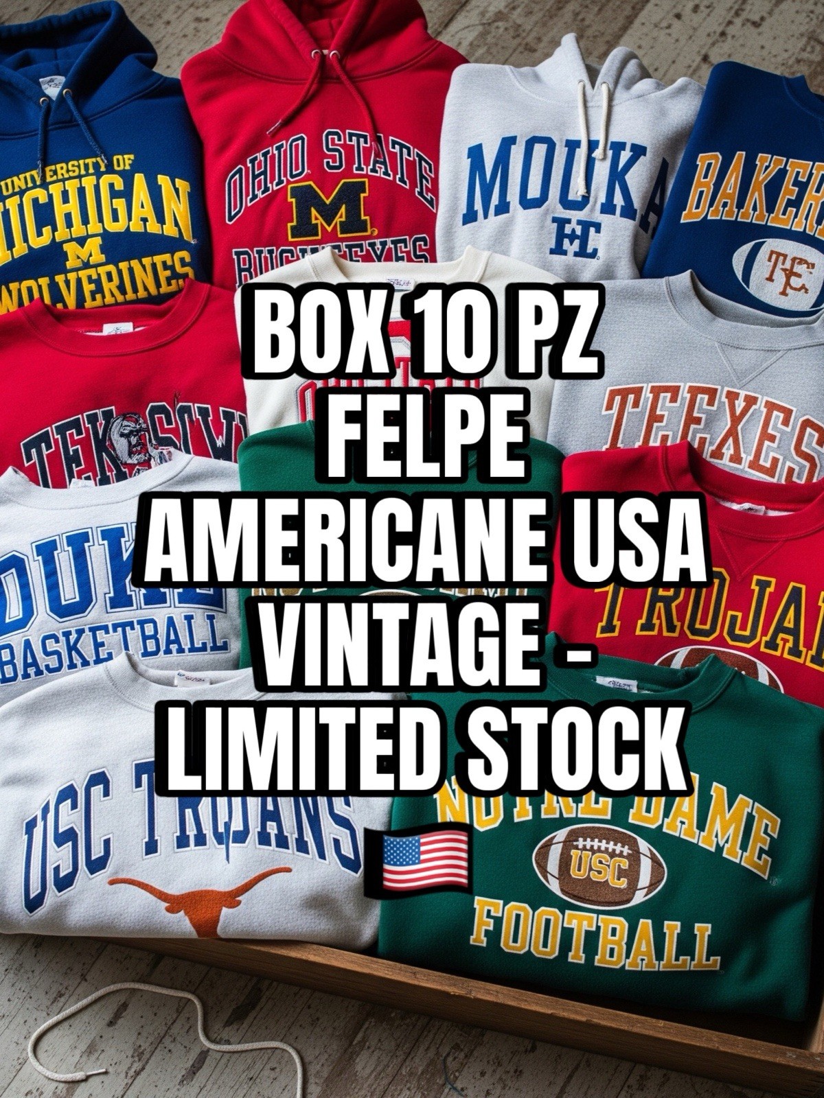 10 pz Felpe Americane University Vintage unisex Stock USA box ingrosso Usato