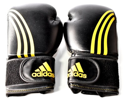 adidas climacool boxing gloves