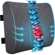 Lumbar Support Pillow for Office Chair Back Support Lumbar Pillow for Car, Ga...