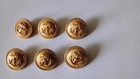 6 WW2 Kriegsmarine German Navy Large 25mm Gilt Uniform Button Maker Marked GREAT — photo 3