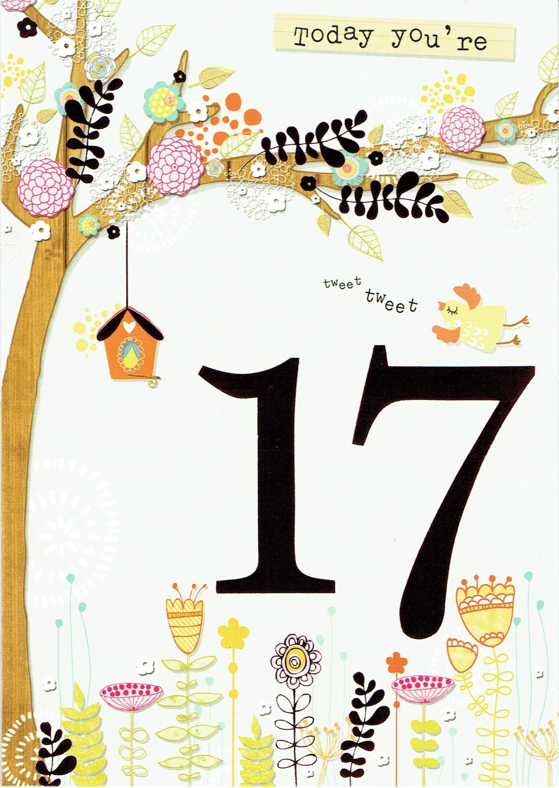 17th BIRTHDAY CARD - Age 17 - Quality Card Bird House Design