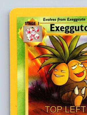 1995 exeggutor pokemon card value Exeggutor HP 80 Big Eggsplosion Attack Rarity Green Tropical Pokémon