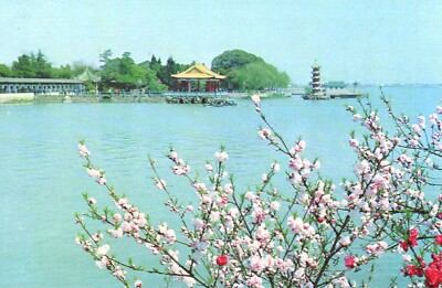 Postcard China Spring comes to Li Yuan Li Garden