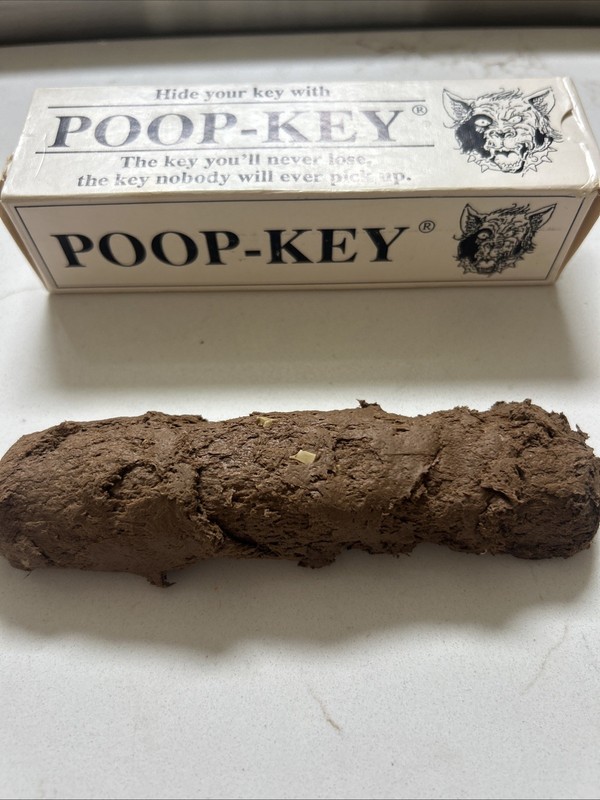 Poop Key Spare House Key Hiding Spot