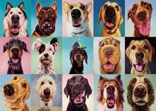 1000 Piece Jigsaw Puzzle For Adults Cute Dogs Pets Animal Scenery Art Game