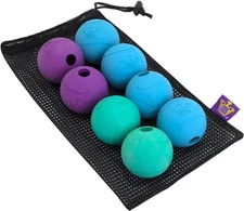 Chew King Dog Fetch Balls for All Breed Sizes - Pack of 8