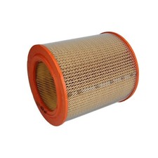 Luftfilter PURFLUX A818
