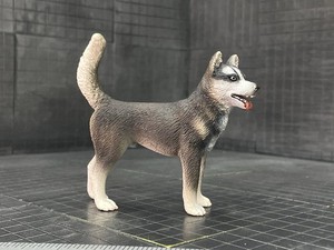 CollectA Siberian Husky Toy Figure - Realistic Dog Model For Educational Play & Collection