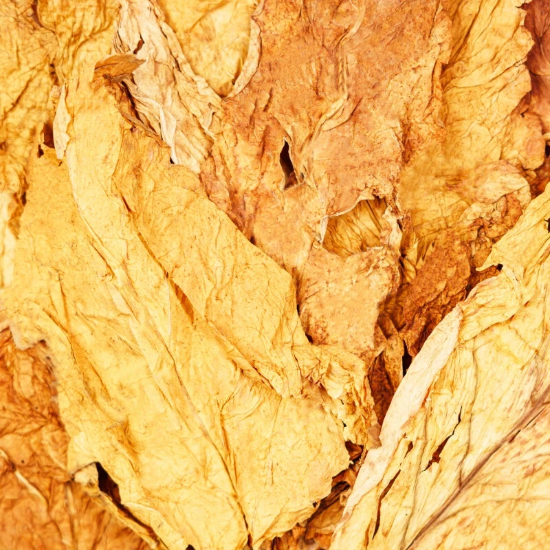 Virginia Bulgarian-Tonga-Tabak als ganzes Blatt - Bild 4 von 4