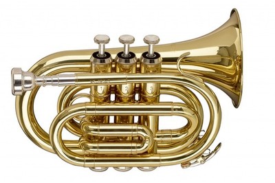 Stagg WSTR245S Taschentrompete inkl. Softcase   kleine Trompete großer Sound!