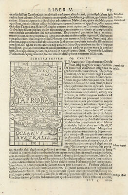 Sumatra lnsula. Taprobana. Sumatra or Sri Lanka. SEBASTIAN MÜNSTER 1572 map