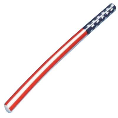 American Doodle Inflatable Pool PATRIOTIC FLOAT Noodles Toy Learn To SWIM 90086