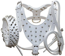 Leather Spiked Studded Medium Large Dog Collars, Harnesses Leashes 3Pcs Matc