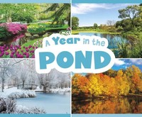 Christina Mia Gardeski | A Year In The Pond | Taschenbuch | Englisch (2021)