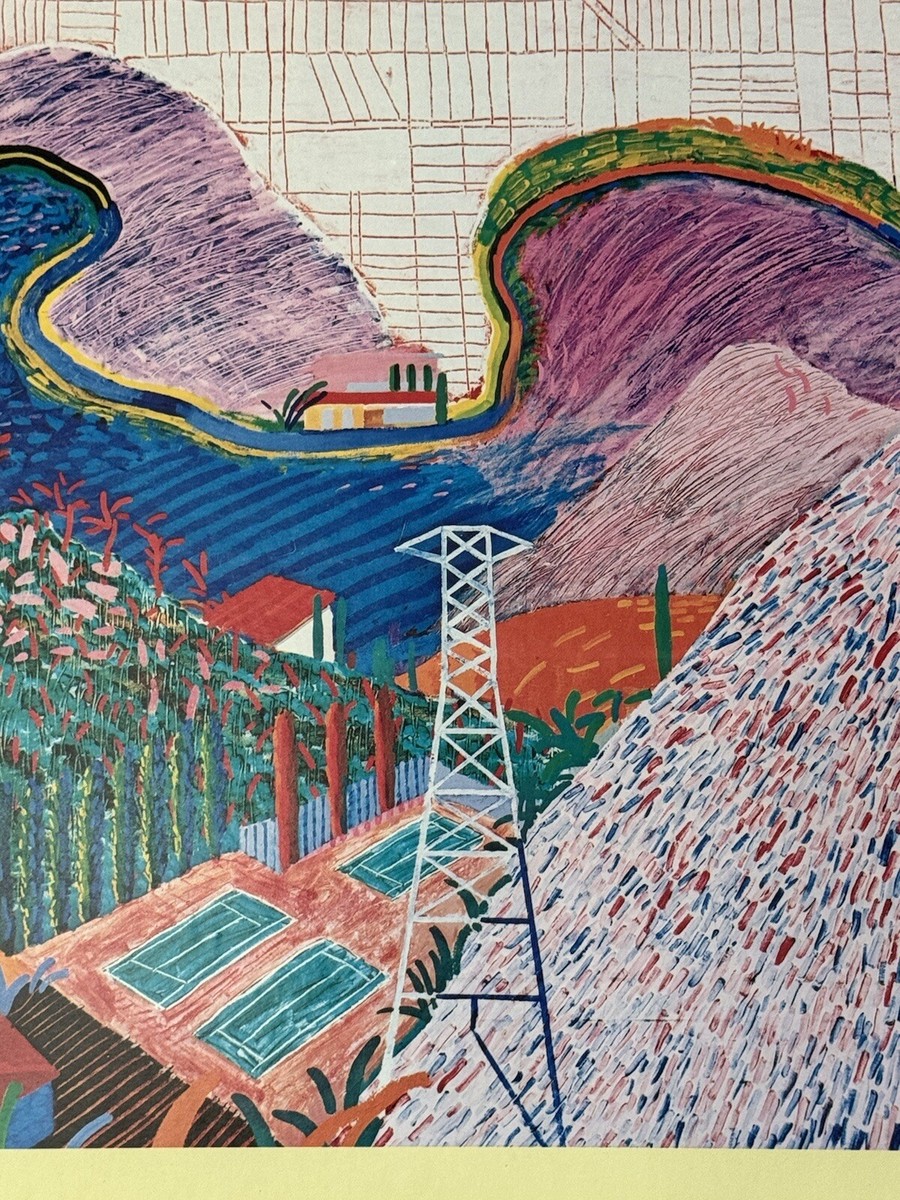 レア　David Hockney ポスター David Hockney Original Art Poster - 18.7