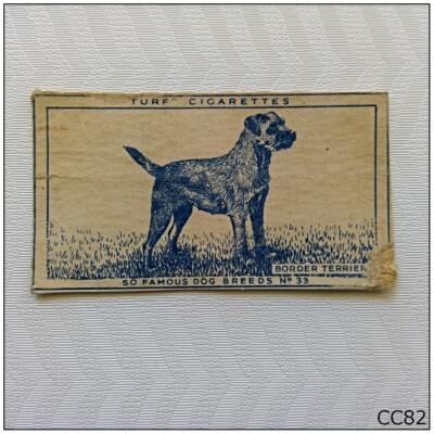 turf cigarette cards Turf Cigarette Card Famous Dog Breeds #33 Border Terrier (CC82)