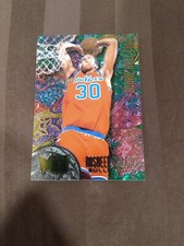 1995 Fleer Metal Stained Glass Card Rasheed Wallace Washington Bullets Rookie RC